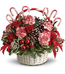 Candy Cane Christmas from Backstage Florist in Richardson, Texas